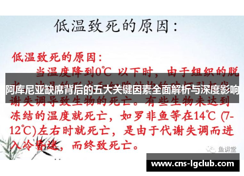 阿库尼亚缺席背后的五大关键因素全面解析与深度影响 阿库尼亚缺席背后的五大关键因素全面解析与深度影响