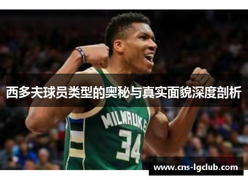 西多夫球员类型的奥秘与真实面貌深度剖析 西多夫球员类型的奥秘与真实面貌深度剖析