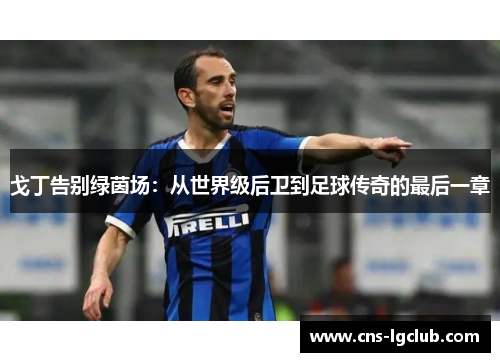 戈丁告别绿茵场:从世界级后卫到足球传奇的最后一章 戈丁告别绿茵场:从世界级后卫到足球传奇的最后一章