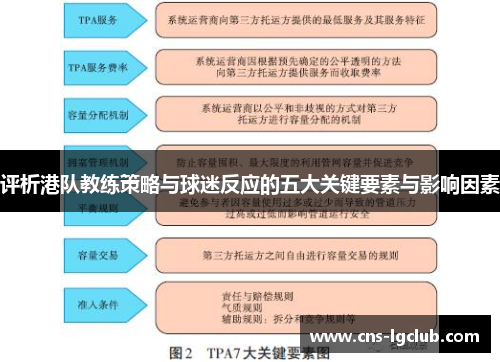 评析港队教练策略与球迷反应的五大关键要素与影响因素