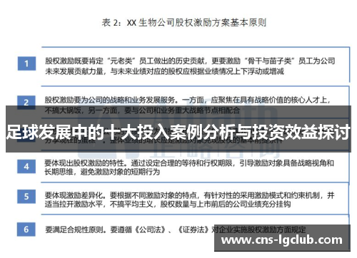 足球发展中的十大投入案例分析与投资效益探讨