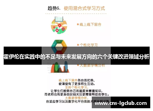 霍伊伦在实践中的不足与未来发展方向的六个关键改进领域分析